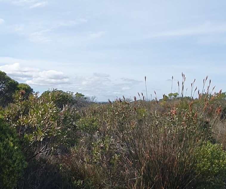 0 Bedroom Property for Sale in Riversdale Rural Western Cape